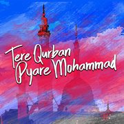 Tere Qurban Pyare Mohammad cover image