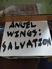 Angels Wings : Salvation cover image