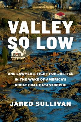 Valley so low : one lawyer's fight for justice in the wake of America's great coal catastrophe  cover image cdn