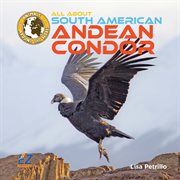 All About South American Andean Condors cover image cdn