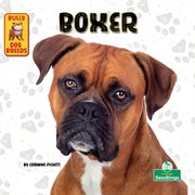 Boxer cover image cdn