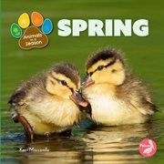 Spring cover image cdn
