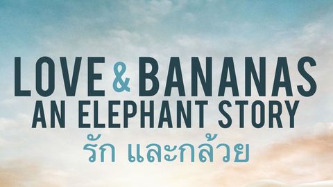 Love & Bananas: An Elephant Story cover image cdn