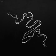 Epiphany cover image cdn