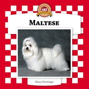 Maltese : Dogs Set 6 cover image cdn