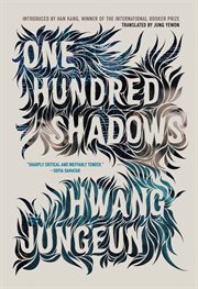 One Hundred Shadows cover image cdn