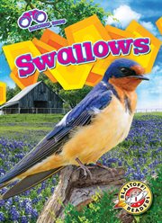Swallows : Backyard Birds cover image cdn
