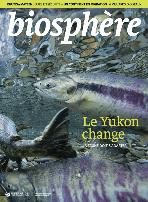 Biosphere cover image cdn