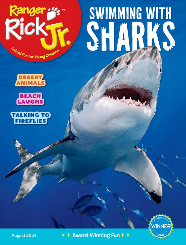 Ranger Rick Jr cover image cdn