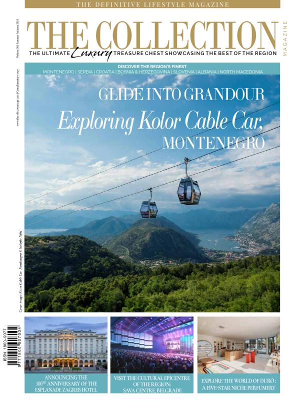 THE COLLECTION cover image cdn