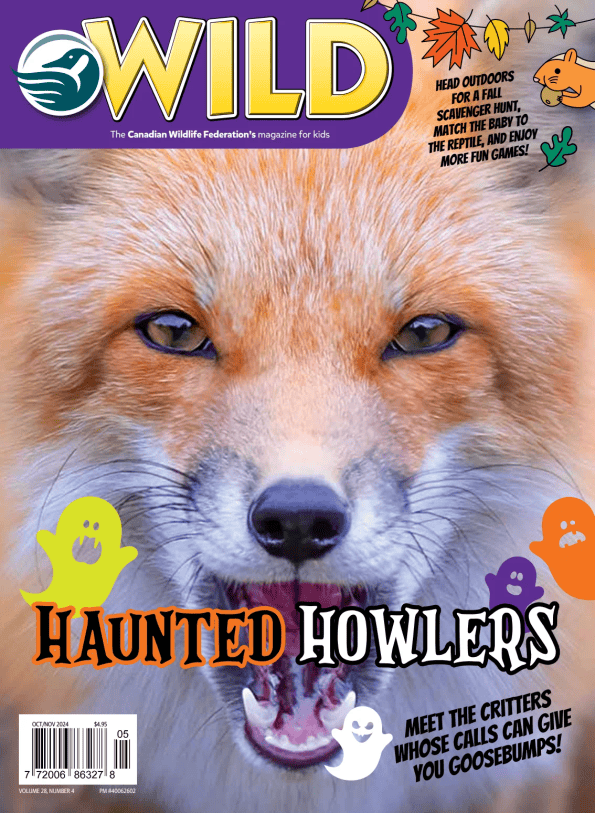 Wild cover image cdn