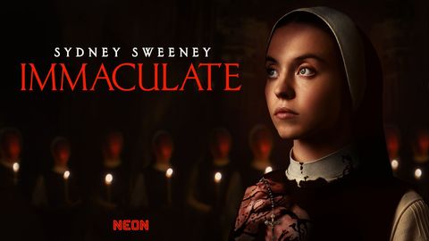 Immaculate cover image cdn