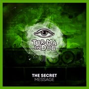 The Secret Message cover image cdn