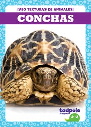 Conchas (Shells) cover image cdn