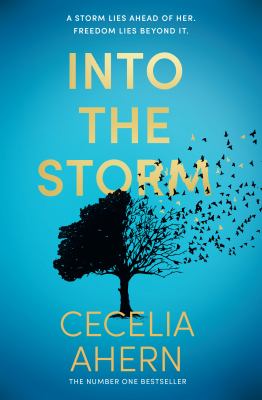 Into the storm  cover image cdn