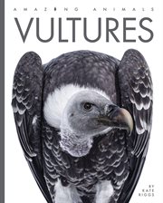 Vultures cover image cdn