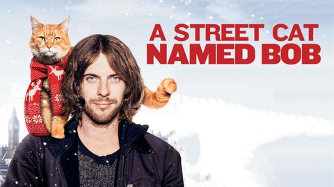 A Street Cat Named Bob cover image cdn