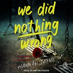 We Did Nothing Wrong cover image cdn