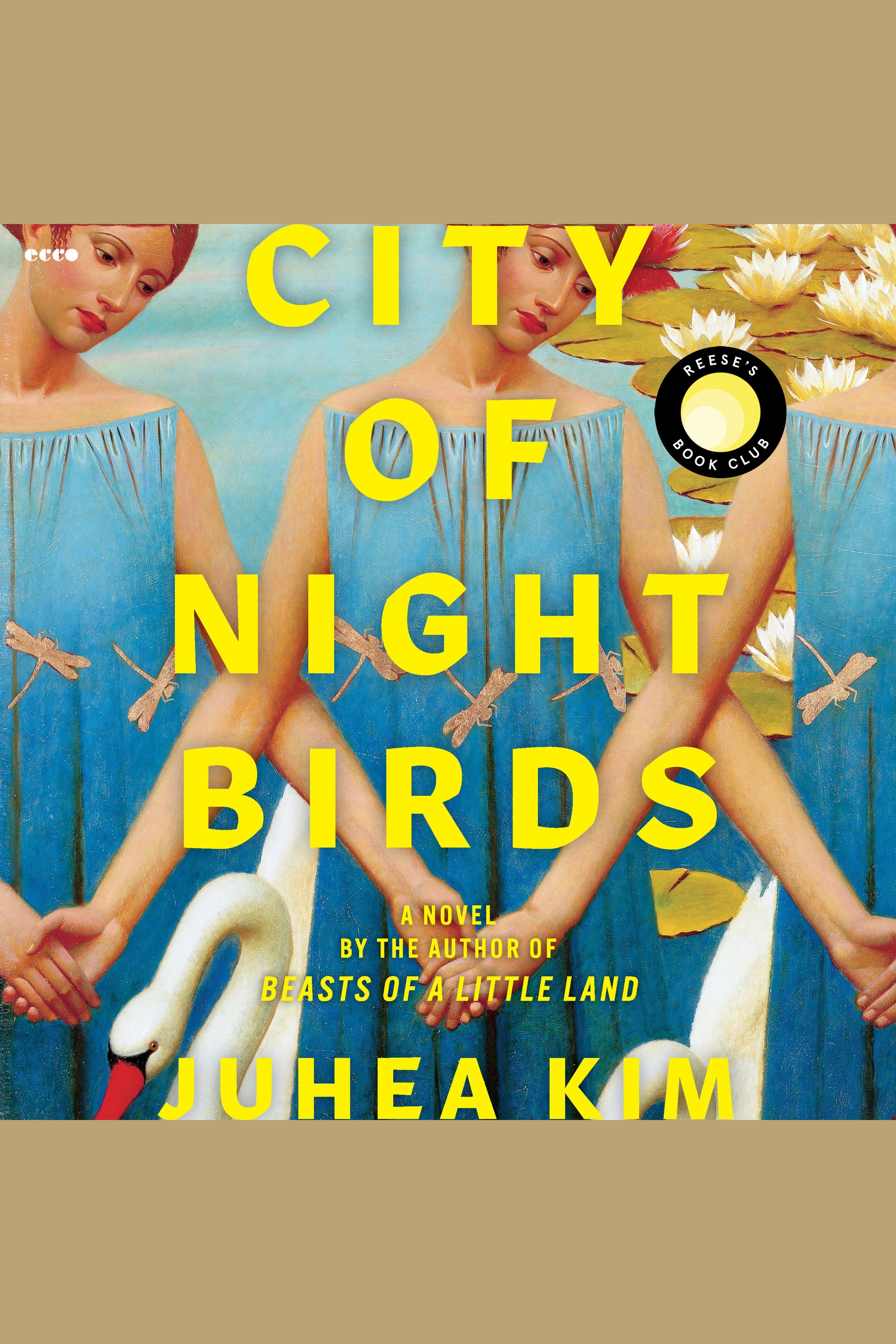 City of Night Birds cover image cdn