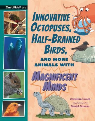 Innovative octopuses, half-brained birds, and more animals with magnificent minds  cover image cdn