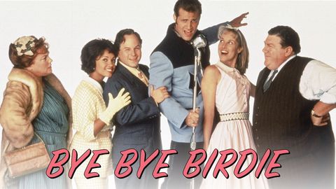 Bye Bye Birdie cover image cdn