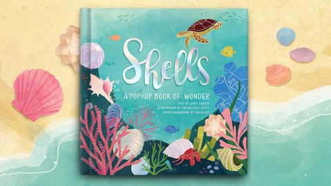 Shells cover image cdn