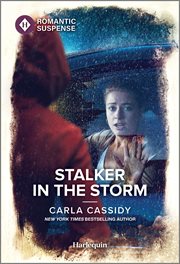 Stalker in the Storm cover image cdn
