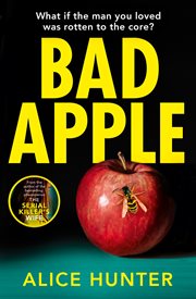 Bad Apple cover image cdn