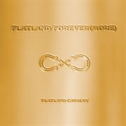 Flatland Forever(more) cover image cdn
