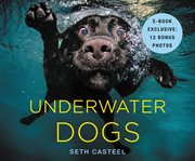 Underwater Dogs cover image cdn