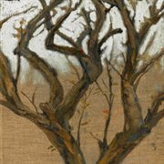 Mong Manh cover image cdn