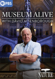 Museum alive with David Attenborough cover image cdn