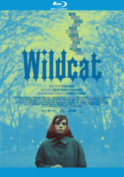 Wildcat cover image cdn