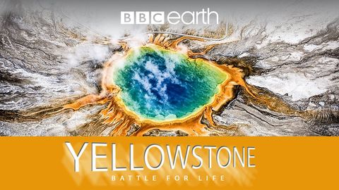 Yellowstone cover image cdn