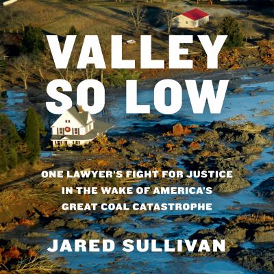 Valley So Low One Lawyer's Fight for Justice in the Wake of America's Great Coal Catastrophe  cover image cdn