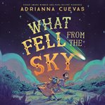 What Fell From the Sky cover image cdn