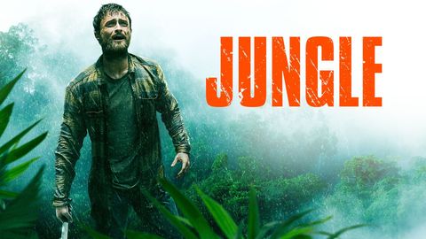 Jungle cover image cdn