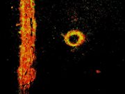 Orangel: The Orange Angel cover image cdn