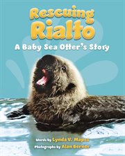 Rescuing Rialto: A Baby Sea Otter's Story cover image cdn