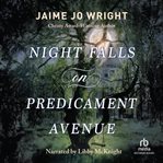 Night Falls on Predicament Avenue cover image cdn