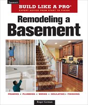 Remodeling a Basement cover image cdn