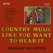 Country Music Like You Want To Hear It (Remaster From The Original Somerset Tapes) cover image cdn