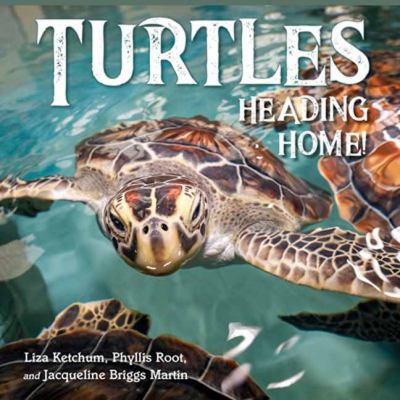 Turtles heading home  cover image cdn