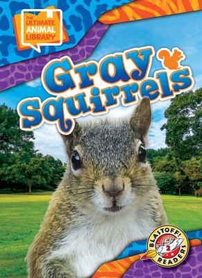 Gray squirrels  cover image cdn
