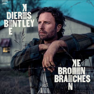 Broken branches cover image cdn