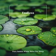 Endless Rain Sounds Pure Nature White Noise For Sleep cover image cdn