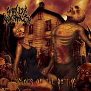 Echoes Of The Rotting cover image cdn