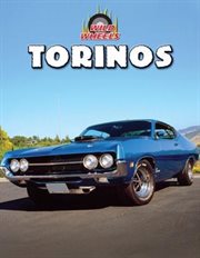 Torinos cover image cdn
