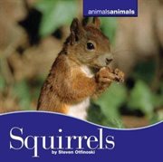 Squirrels cover image cdn