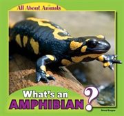 What's an Amphibian? cover image cdn